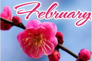 2月の花 うめ